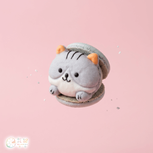 貓咪橙酒文旦-葷